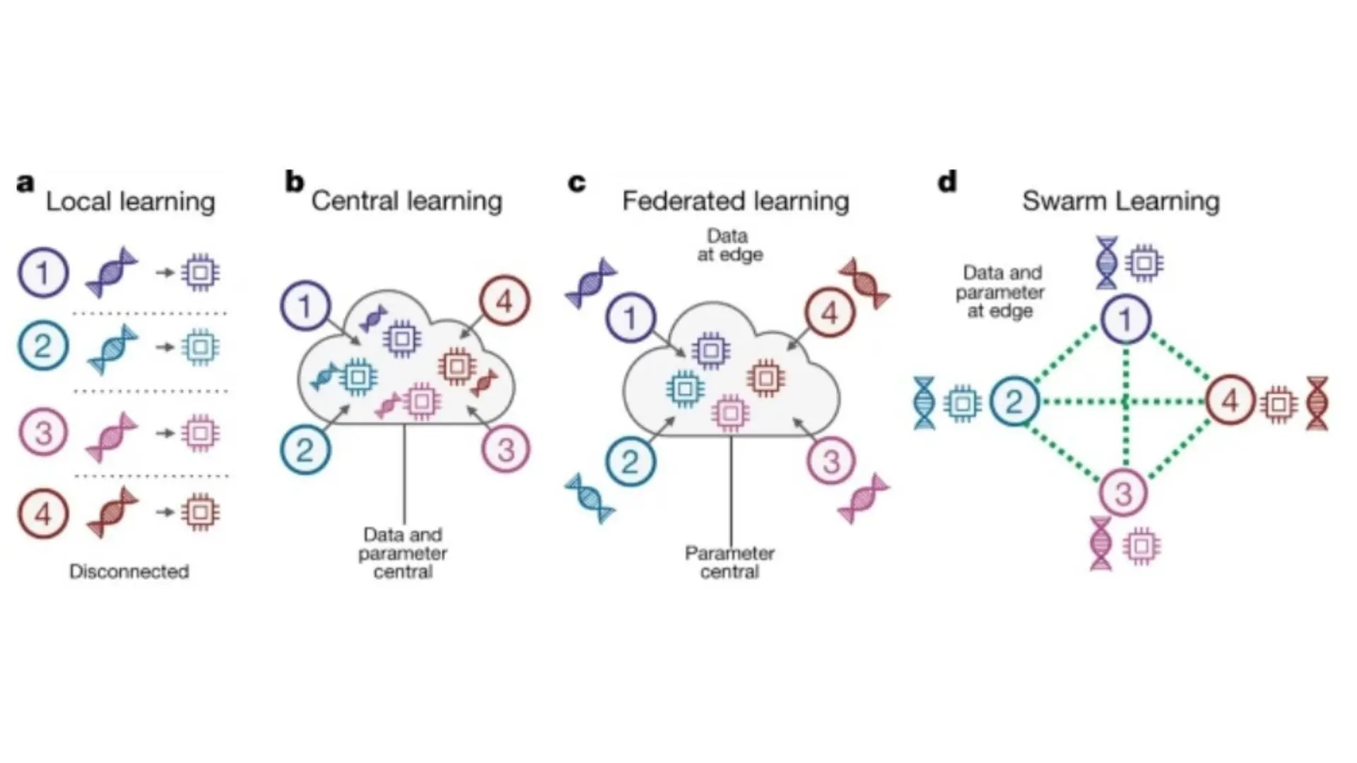 Schéma de fonctionnement du Swarm Learning appliqué aux données médicales